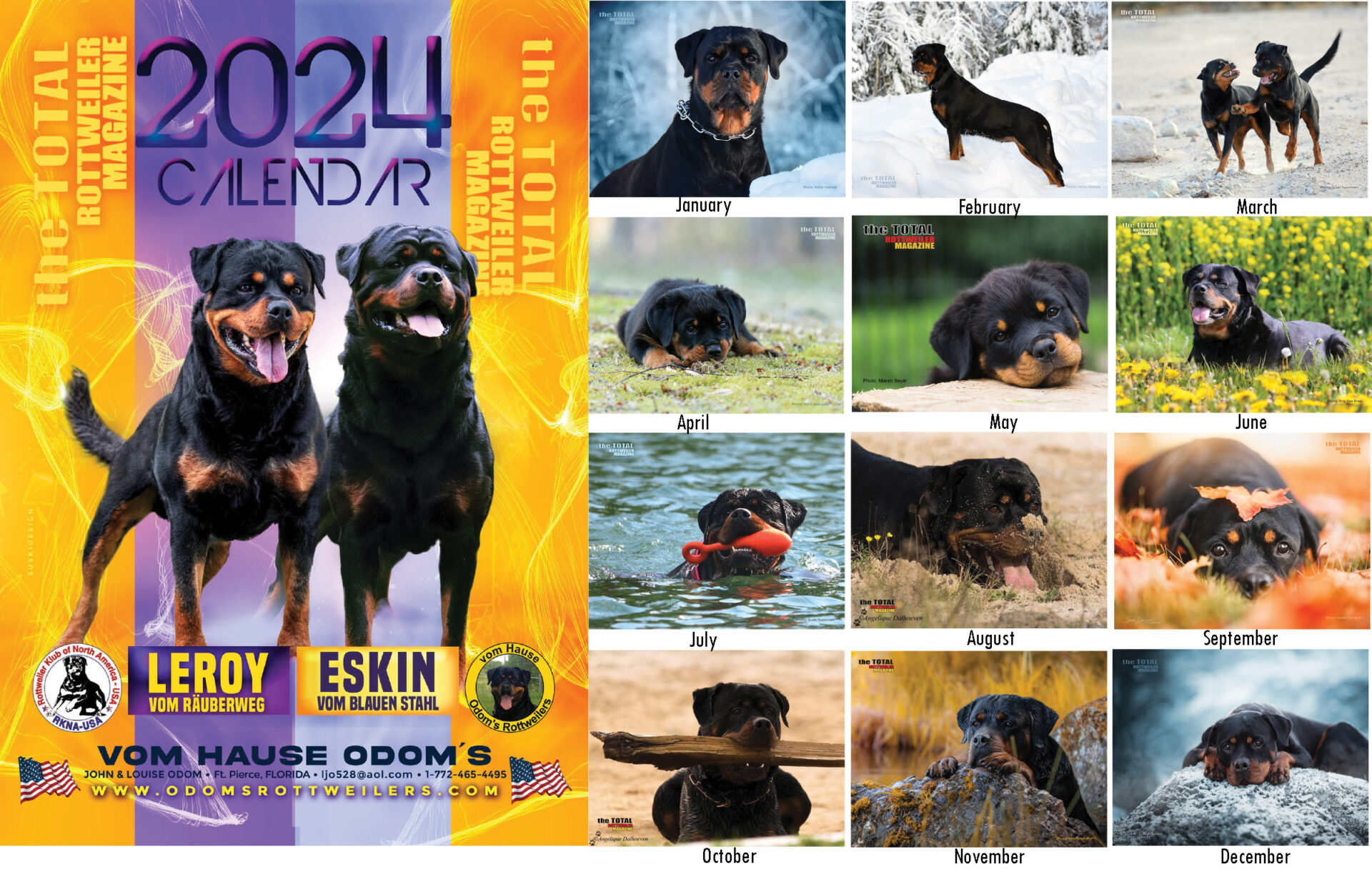 2024 TTRM Calendar Total Rottweiler Magazine   Calendar With Months 1920x1248 